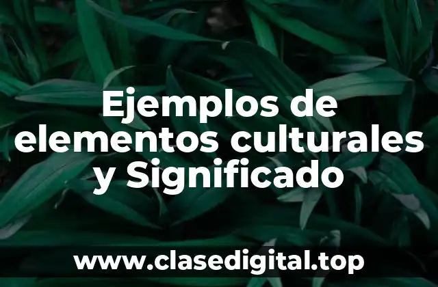 Ejemplos de elementos culturales y Significado