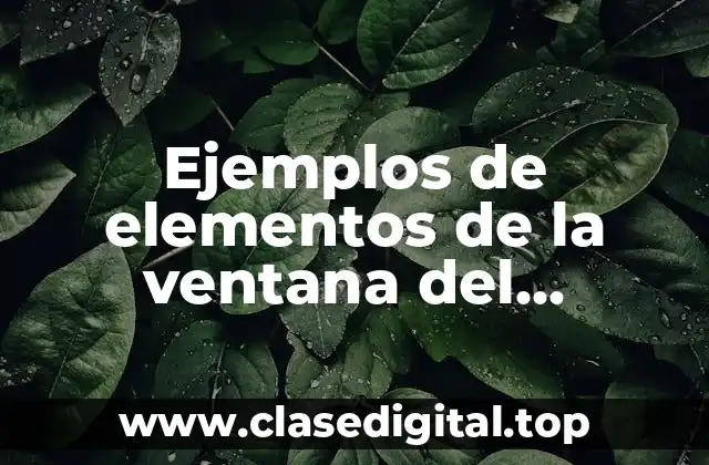 Ejemplos de elementos de la ventana del procesador