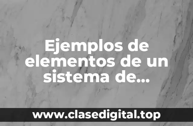 Ejemplos de elementos de un sistema de información y Significado