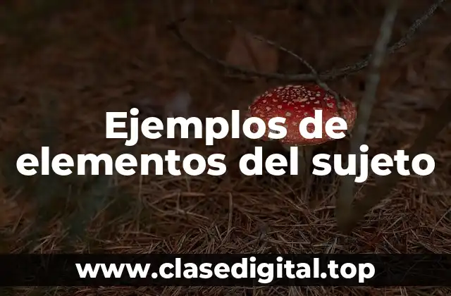 Ejemplos de elementos del sujeto