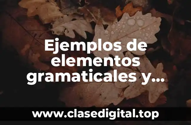 Ejemplos de elementos gramaticales
