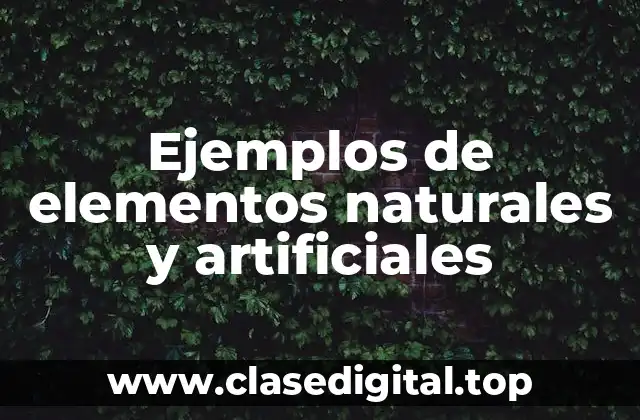 Ejemplos de elementos naturales y artificiales