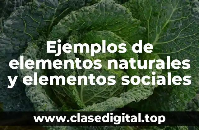 Ejemplos de elementos naturales y elementos sociales