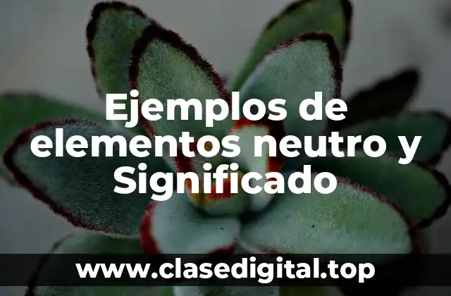 Ejemplos de elementos neutro