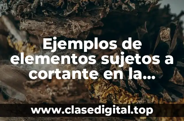 Ejemplos de elementos sujetos a cortante en la flexión