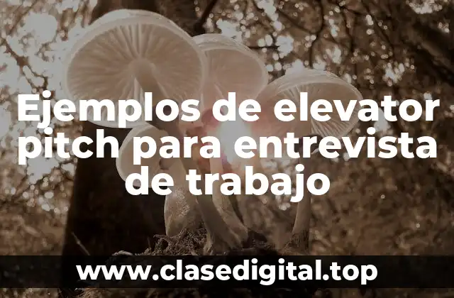 Ejemplos de elevator pitch para entrevista de trabajo