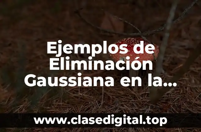 Ejemplos de Eliminación Gaussiana en la Ingenieria Electronica y Significado