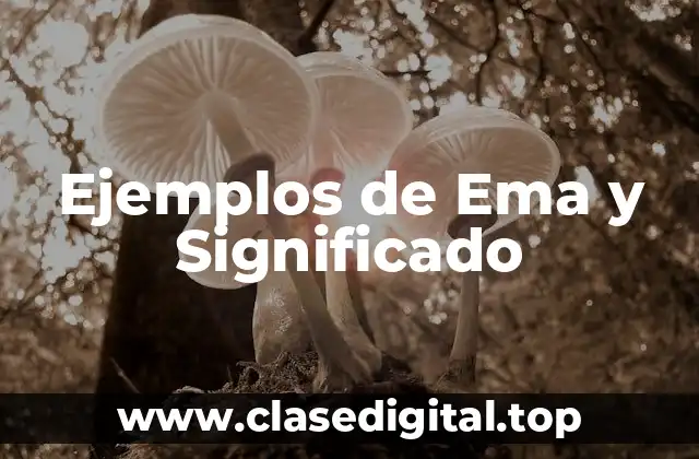 Ejemplos de Ema y Significado