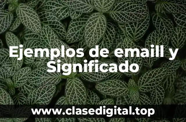 Ejemplos de emaill y Significado