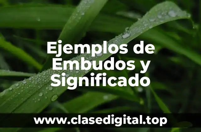 Ejemplos de Embudos y Significado