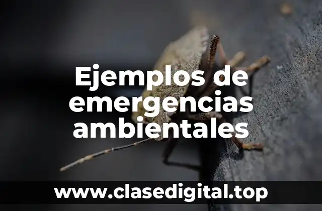 Ejemplos de emergencias ambientales