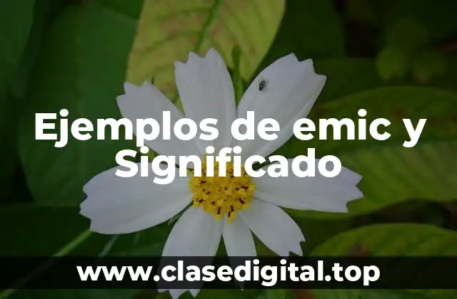 Ejemplos de emic y Significado