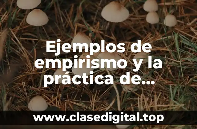 Ejemplos de empirismo y la práctica de enfermería