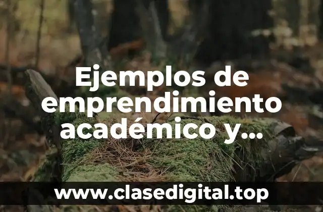 Ejemplos de emprendimiento académico y Significado