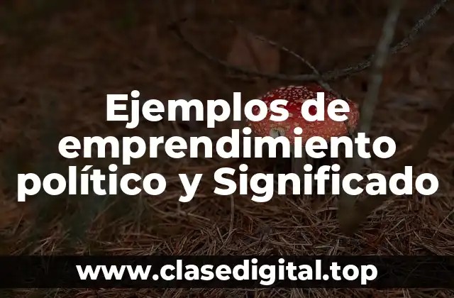 Ejemplos de emprendimiento político y Significado