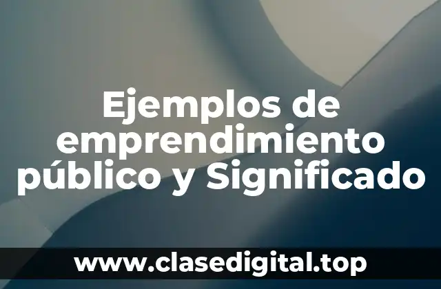 Ejemplos de emprendimiento público y Significado
