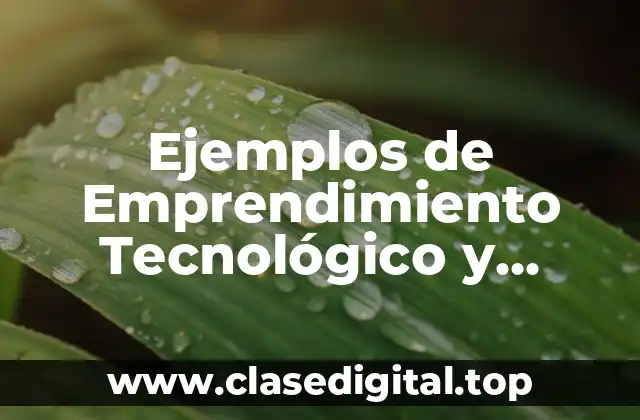 Ejemplos de Emprendimiento Tecnológico y Significado