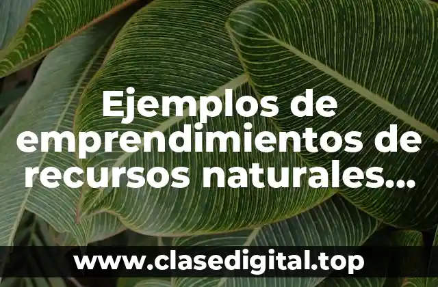 Ejemplos de emprendimientos de recursos naturales en Ecuador