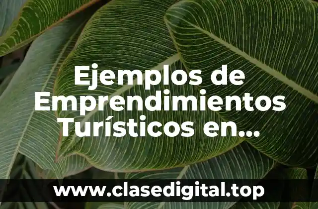 Ejemplos de Emprendimientos Turísticos en Ecuador