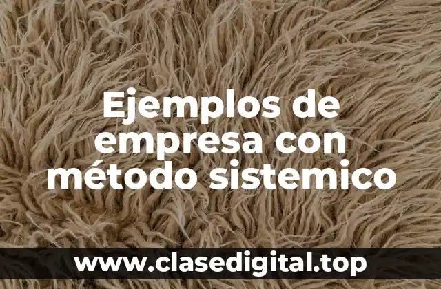 Ejemplos de empresa con método sistemico
