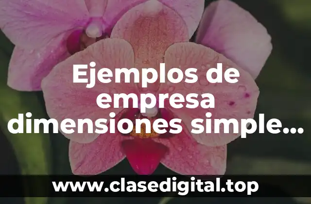 Ejemplos de empresa dimensiones simple y estable