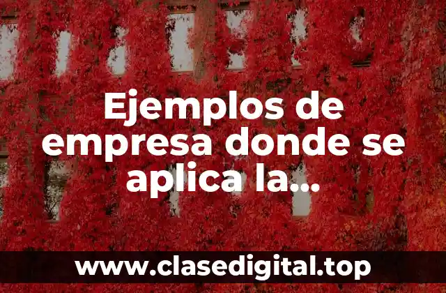 Ejemplos de empresa donde se aplica la personalidad