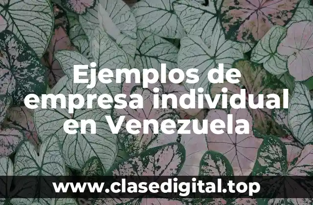 Ejemplos de empresa individual en Venezuela