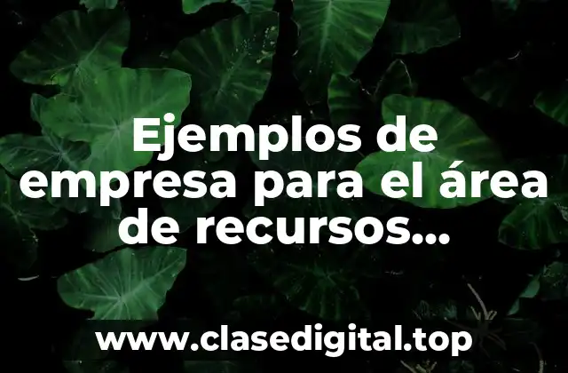 Ejemplos de empresa para el área de recursos humanos