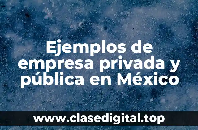 Ejemplos de empresa privada y pública en México