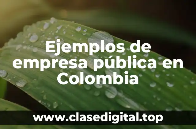 Ejemplos de empresa pública en Colombia