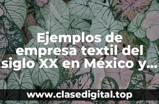 Ejemplos de empresa textil del siglo XX en México y Significado