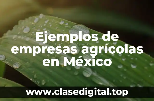 Ejemplos de empresas agrícolas en México