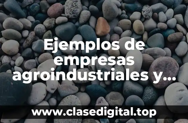 Ejemplos de empresas agroindustriales y Significado