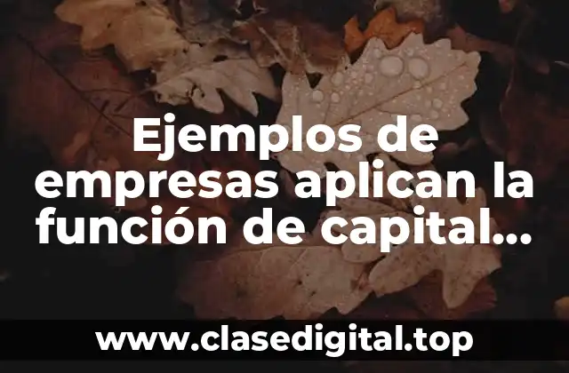 Ejemplos de empresas que aplican la función de capital humano