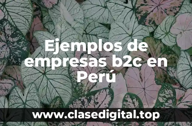 Ejemplos de empresas b2c en Perú