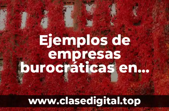Ejemplos de empresas burocráticas en México y Significado