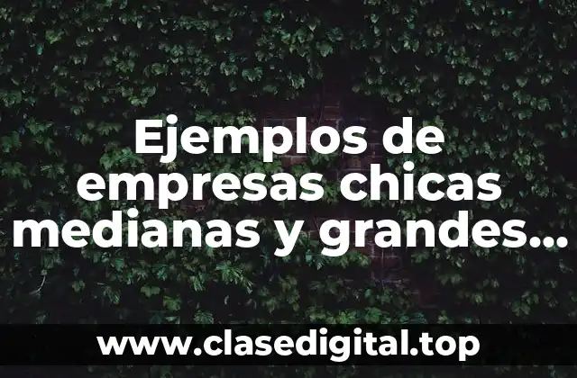 Ejemplos de empresas chicas medianas y grandes en Chihuahua