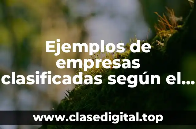 Ejemplos de empresas clasificadas según el origen de su capital y Significado