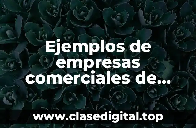 Ejemplos de empresas comerciales de servicios e industriales y Significado