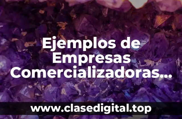 Ejemplos de Empresas Comercializadoras Mexicanas