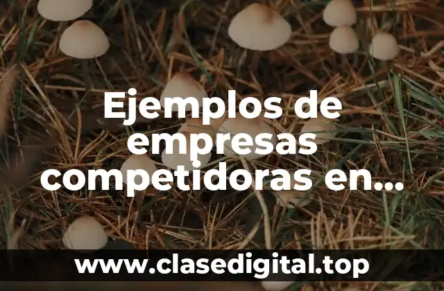 Ejemplos de empresas competidoras en aspecto de marketing