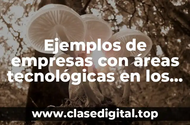 Ejemplos de empresas con áreas tecnológicas en los organigramas