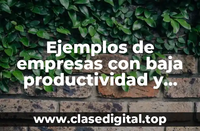 Ejemplos de empresas con baja productividad