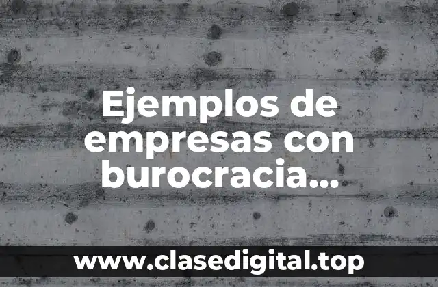Ejemplos de empresas con burocracia profesional y Significado