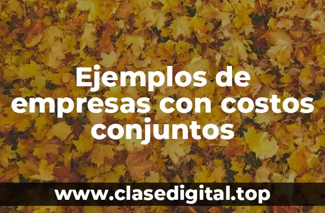 Ejemplos de empresas con costos conjuntos