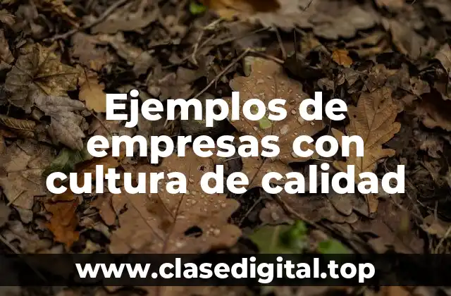 Ejemplos de empresas con cultura de calidad