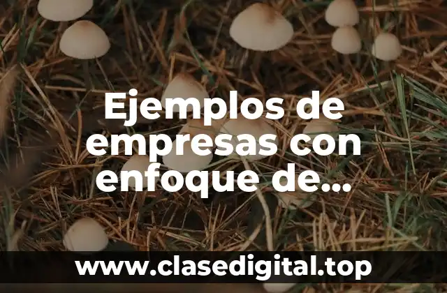 Ejemplos de empresas con enfoque de marketing y Significado