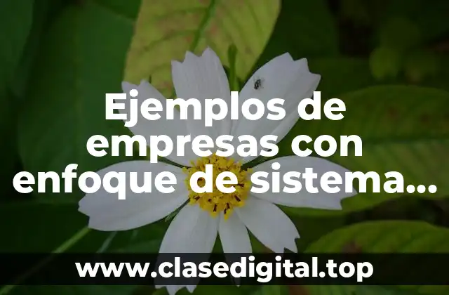 Ejemplos de empresas con enfoque de sistema y diagnóstico