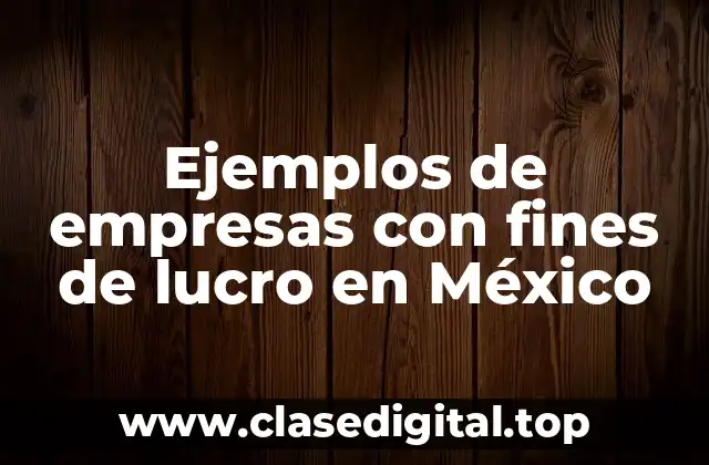 Ejemplos de empresas con fines de lucro en México