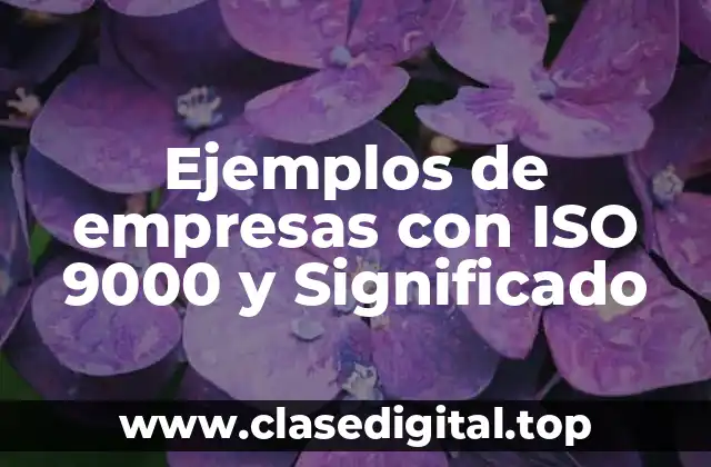 Ejemplos de empresas con ISO 9000 y Significado
